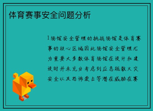 体育赛事安全问题分析